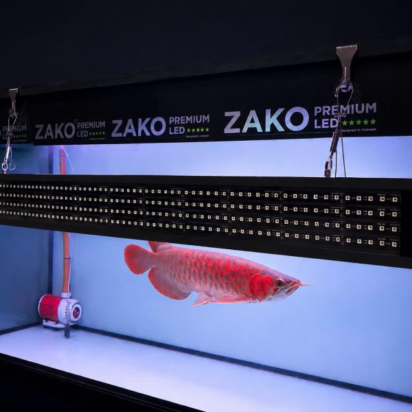 Đèn led cá rồng zako t rgbu 4 dãy ( dòng nâng cấp 5in1)