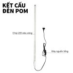 den_pom_ca_rong 2