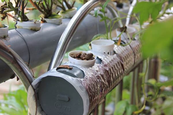 chuẩn bị dụng cụ trồng rau thủy canh vườn treo