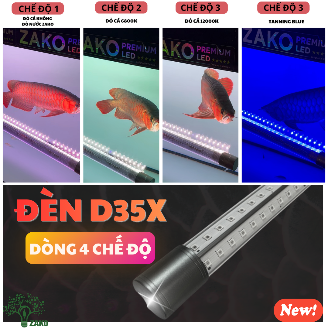 d35x anh chinh