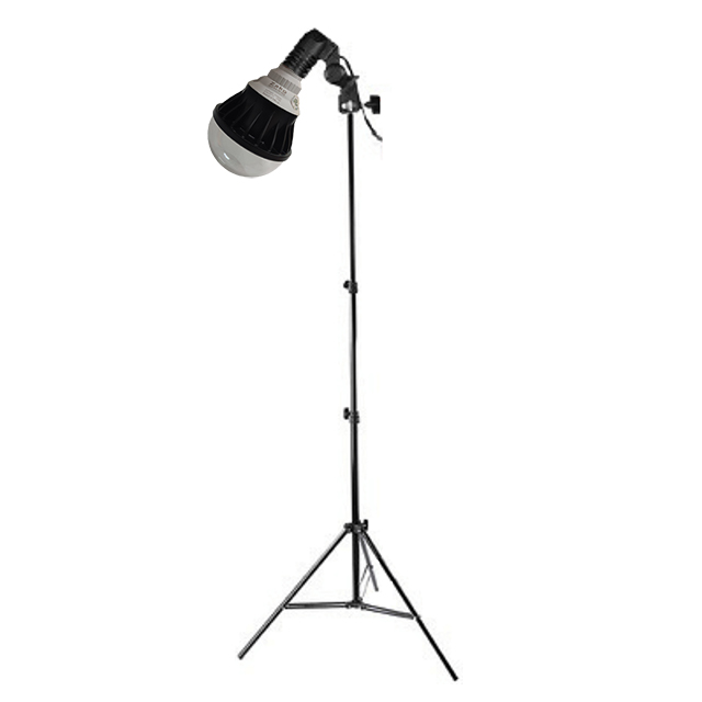 de dung den bub 1m5 1m7 640x640