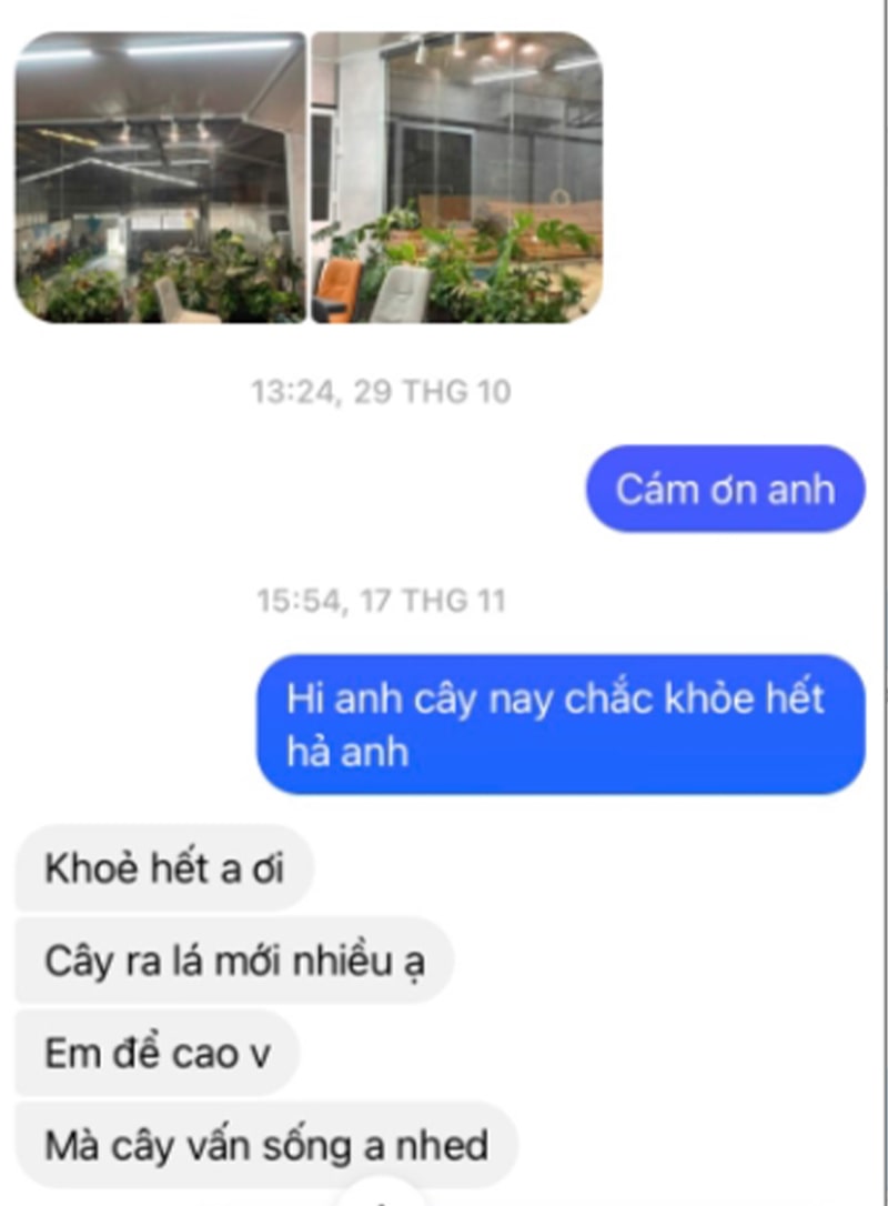 Đèn led ray trồng cây zako