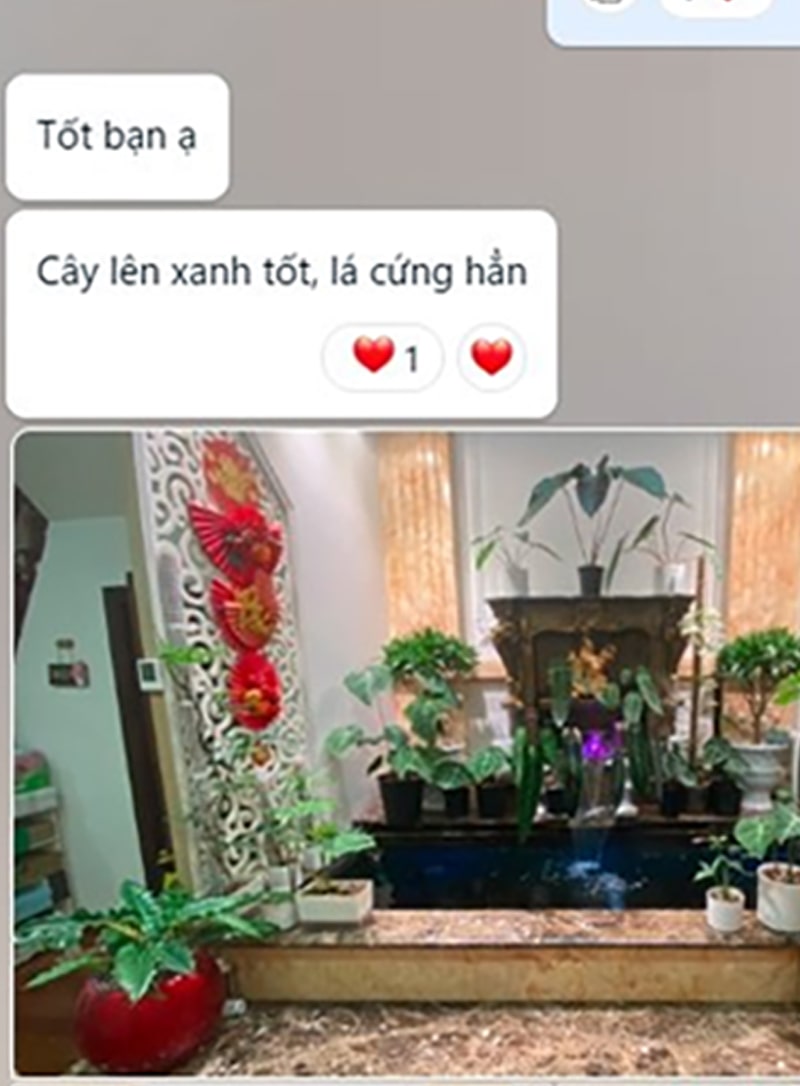 Đèn led ray trồng cây zako