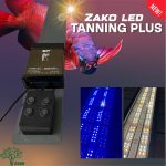 Tanning Plus