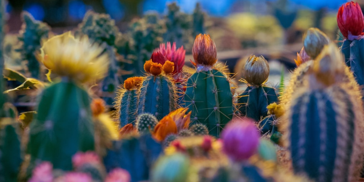 thiết kế chưa có tên (1)