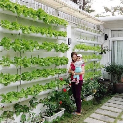 vườn treo thủy canh rang trí cho ngôi nhà