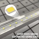den_pom_ca_rong 4
