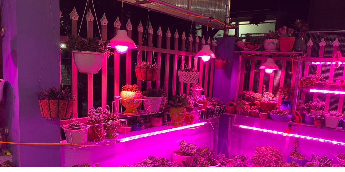 bi quyet giúp sen da len mau va giu form dep 2