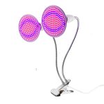 bóng đèn sử dụng cho đế kẹp không được vượt quá 100w