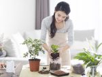 chăm sóc đơn giản