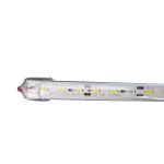 Đèn led tuýp 12v