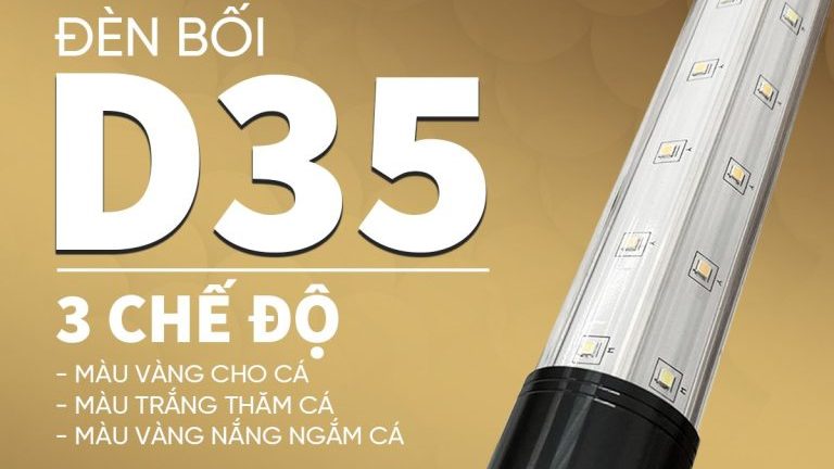 den boi d35 zako 12 768x768