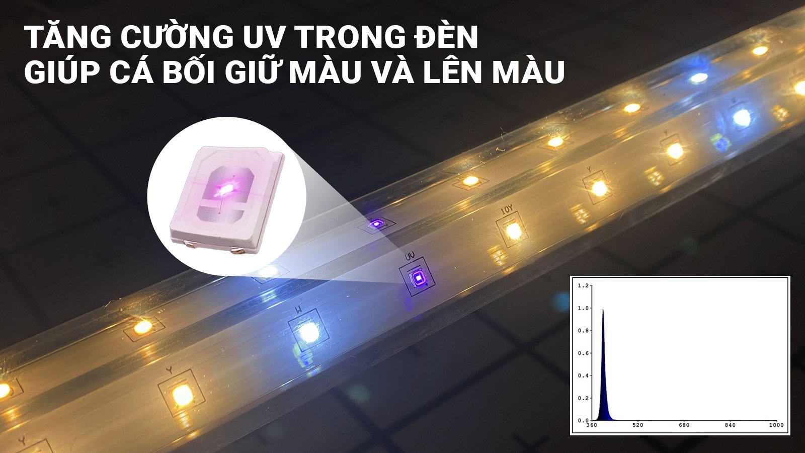 den boi d35 zako (3)