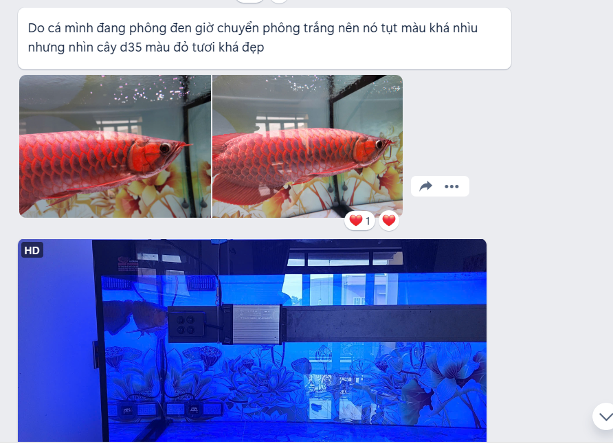 den d35 zako anh manhsom