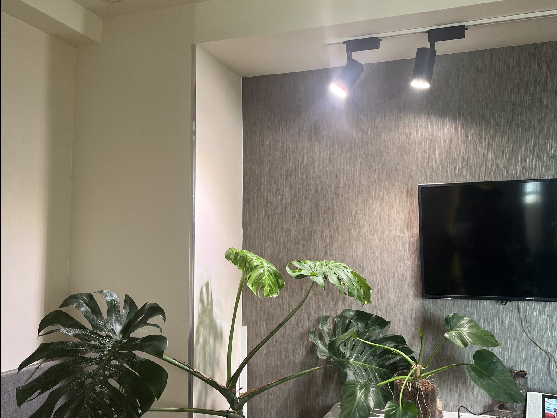 den led 30w zk310