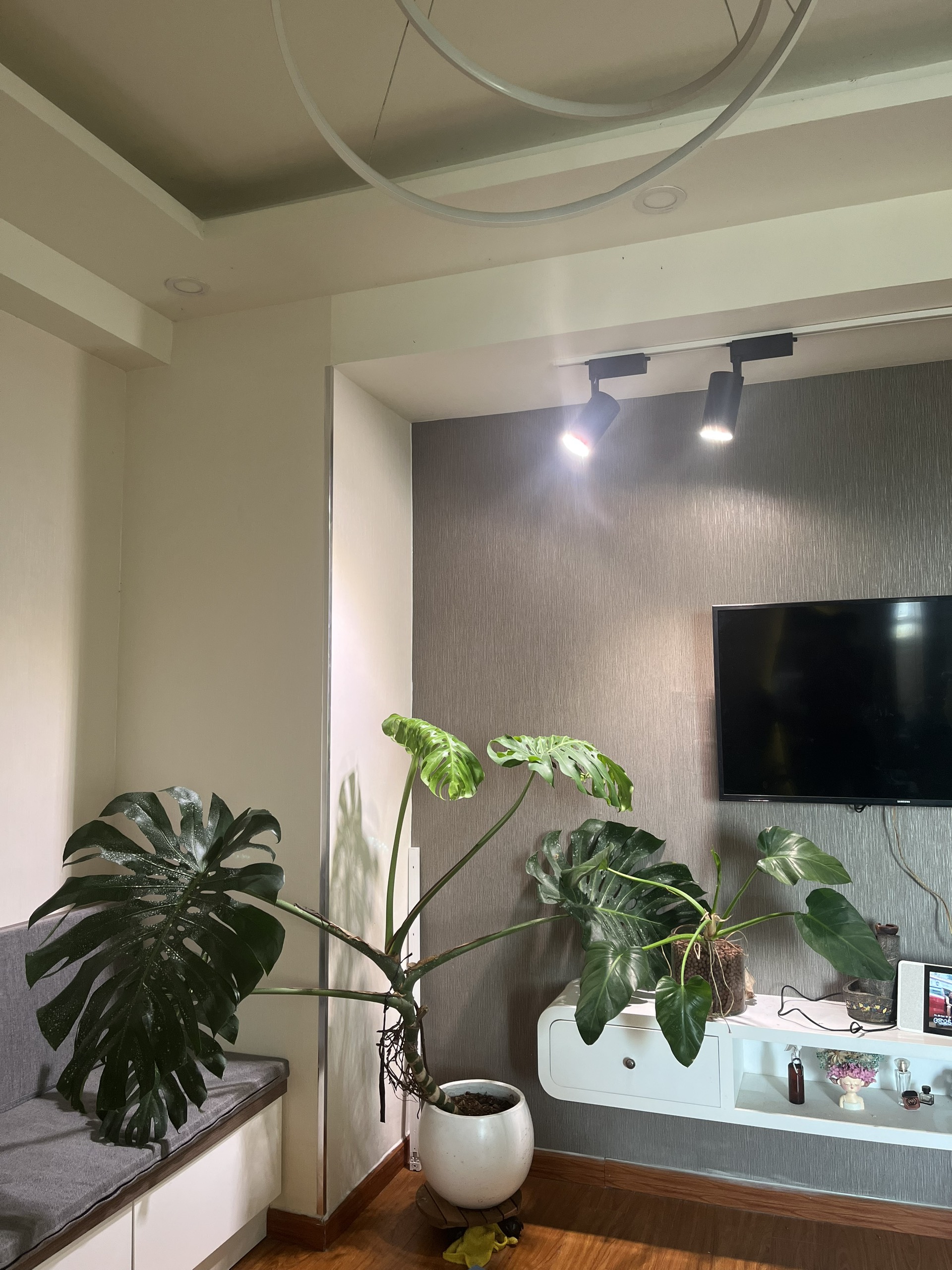den led 30w zk310