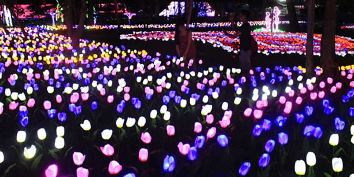 đèn led nông nghiệp khác đèn led thường ra sao