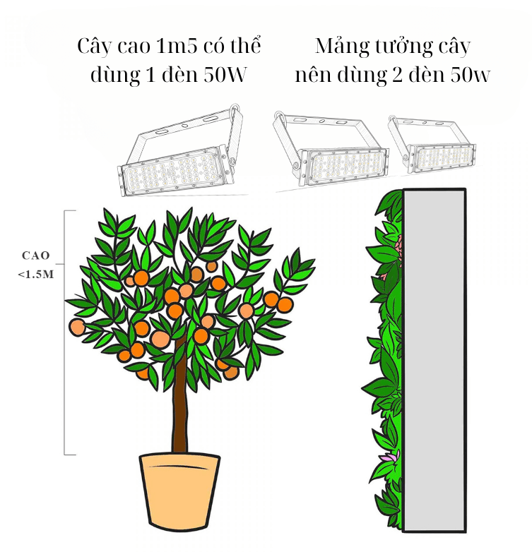 den modul 50w zako15