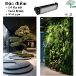 den modul 50w zako9