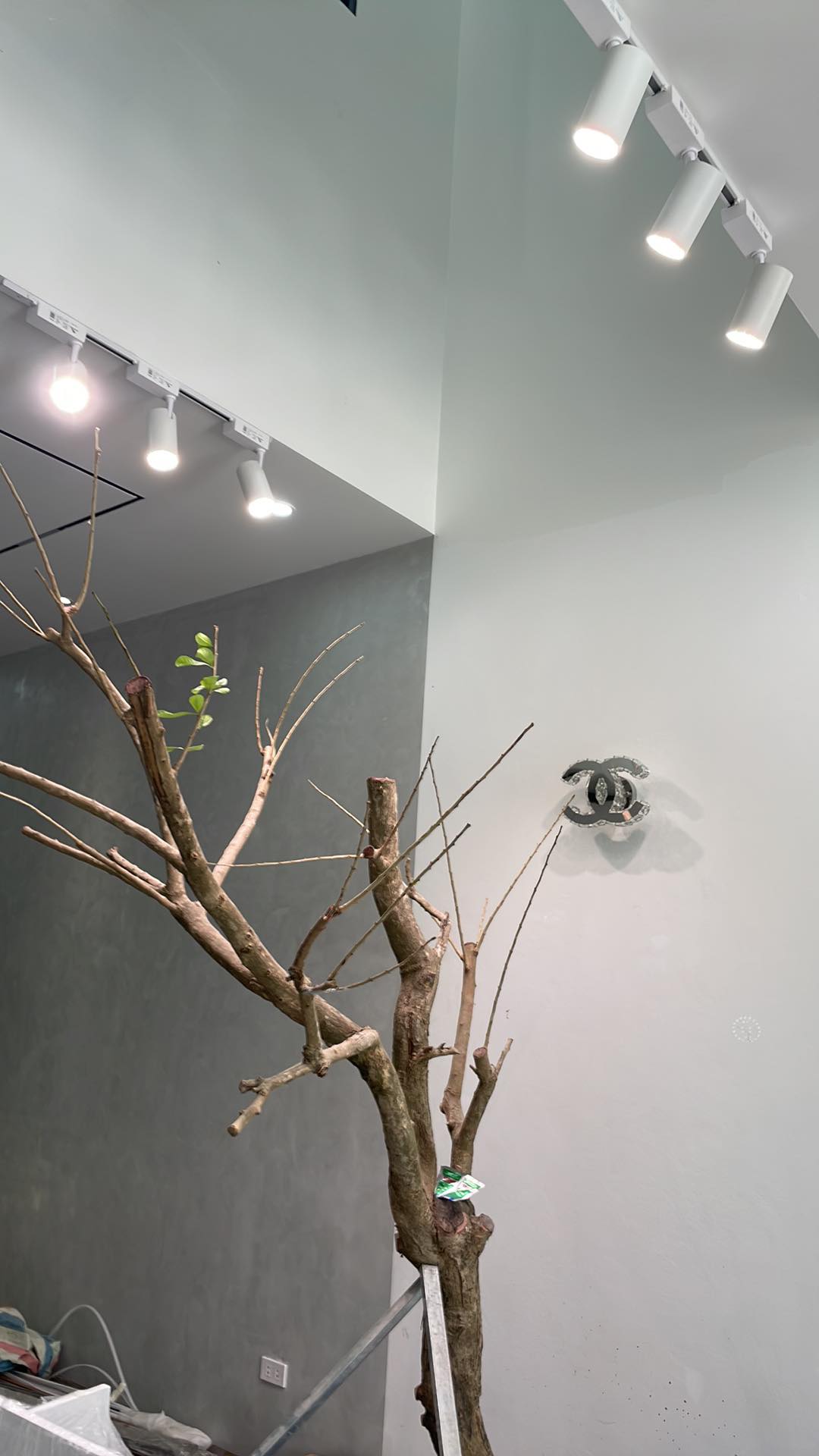 den ray 30w 310 đaotien anh thắng