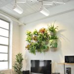 den ray 30w trong cay 1200x1200 hinh minh hoa 2
