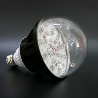 den trong cay trong nha den bulb 20w