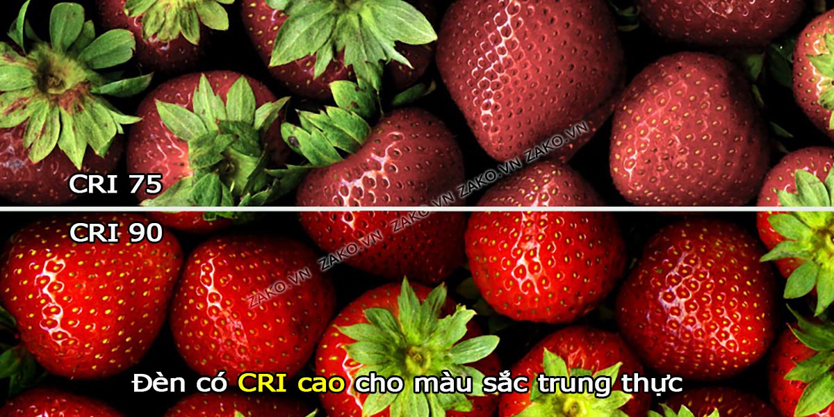 do hoan mau cri anh sang den trong cay