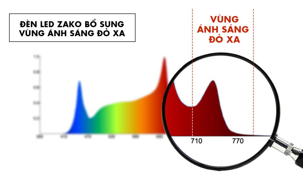 Đèn led ray trồng cây zako