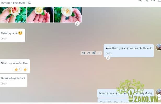 kết quả sử dụng dèn led zako