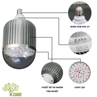 thông số tổng quan đèn led bulb 36w