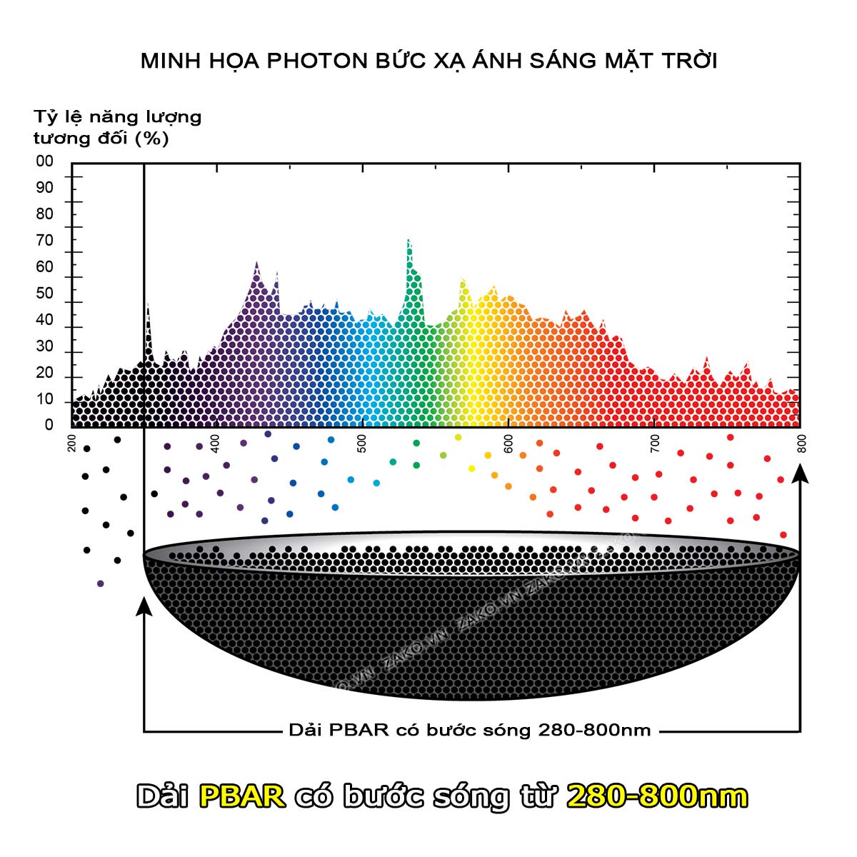 pbar anh sang den trong cay