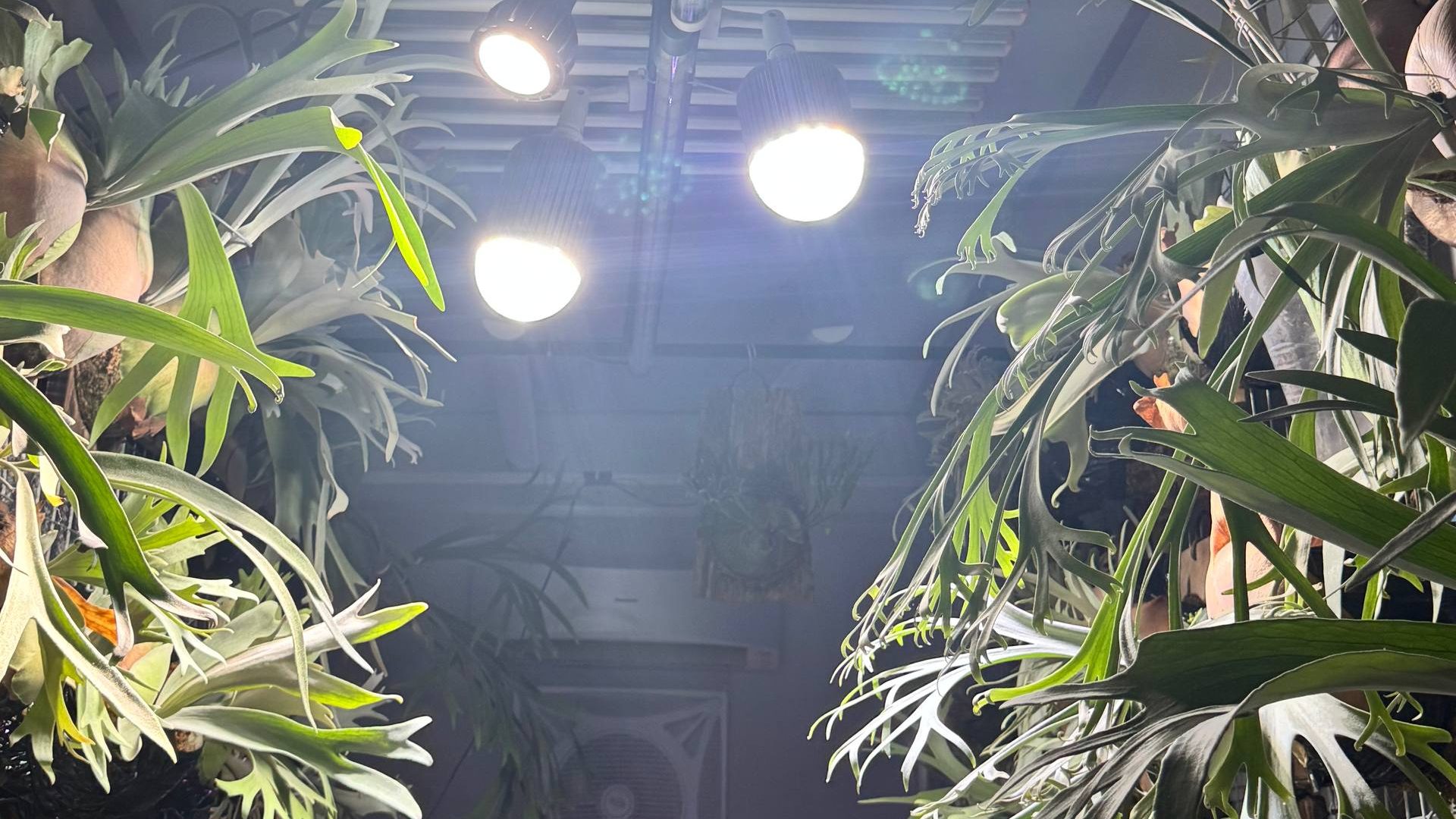 photo 2026 08 20 15 35 30